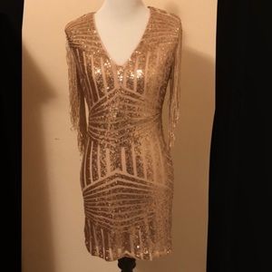 Rose Gold Dress with Tassle Sleeves